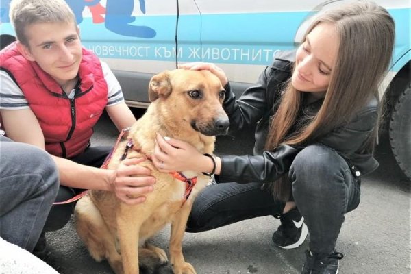 Кракен даркнет текст